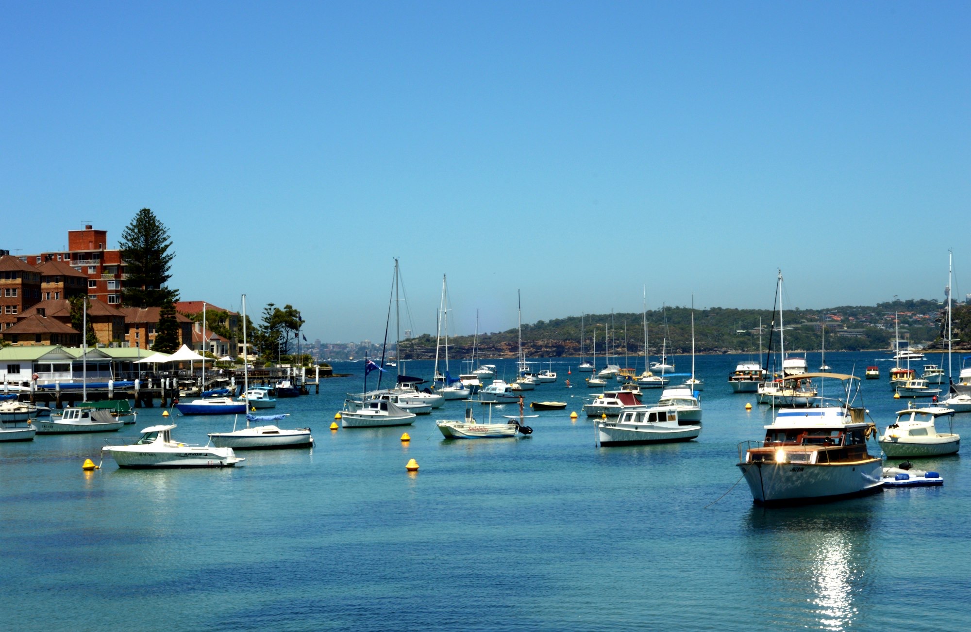 Boats moored on the harbour at Manly on a sunny day.